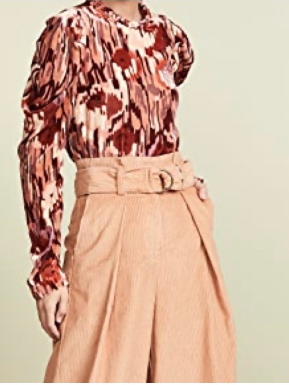 Ulla Johnson Long Sleeve Velvet Blouse